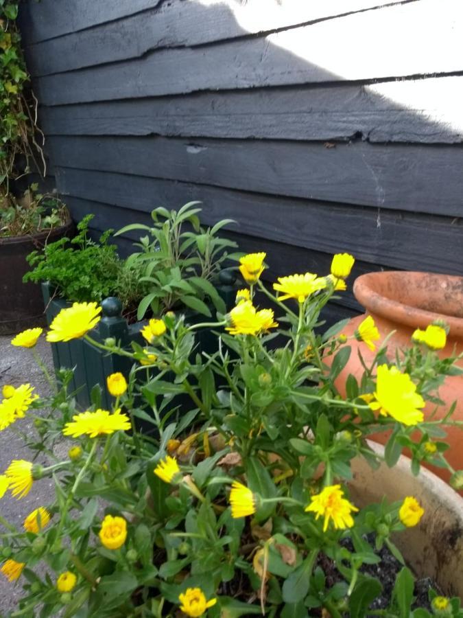 Cosy, Dog Friendly House On The Fringe Of The Brecon Beacons Villa Tredegar Esterno foto